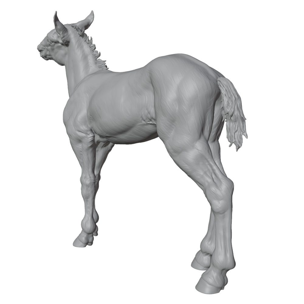 Drukowanie o wysokiej rozdziel – Model Kit Horse recenzja i cena