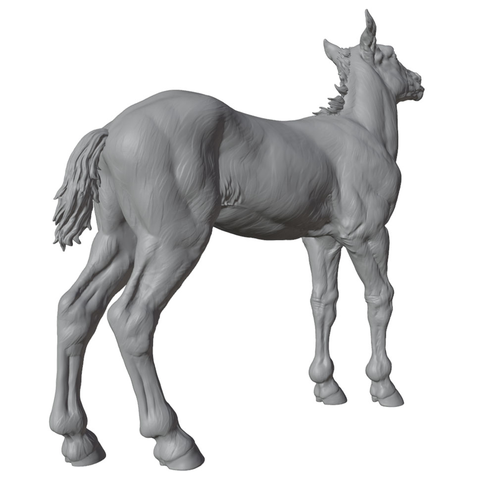 Drukowanie o wysokiej rozdziel – Model Kit Horse recenzja i cena