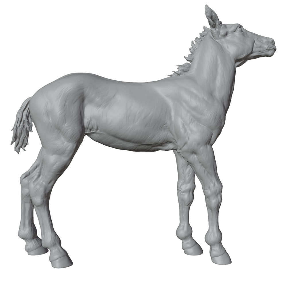 Drukowanie o wysokiej rozdziel – Model Kit Horse recenzja i cena